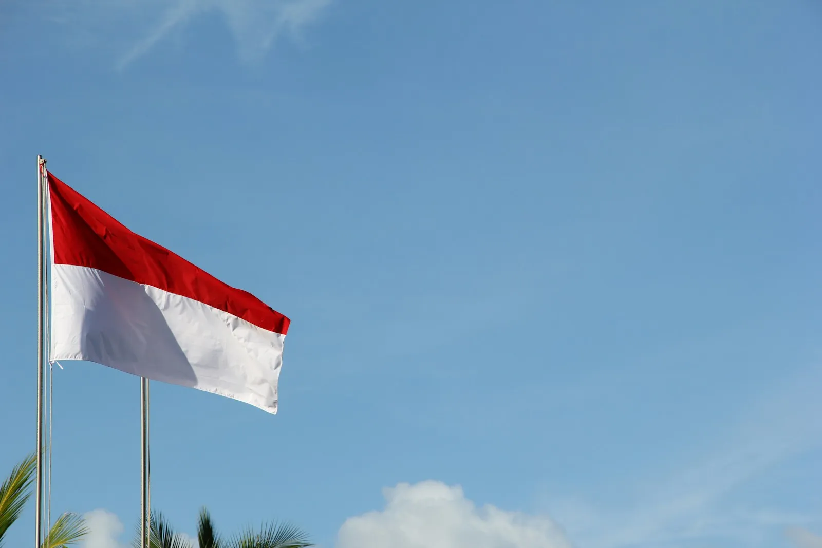 red and white flag under blue sky during daytime