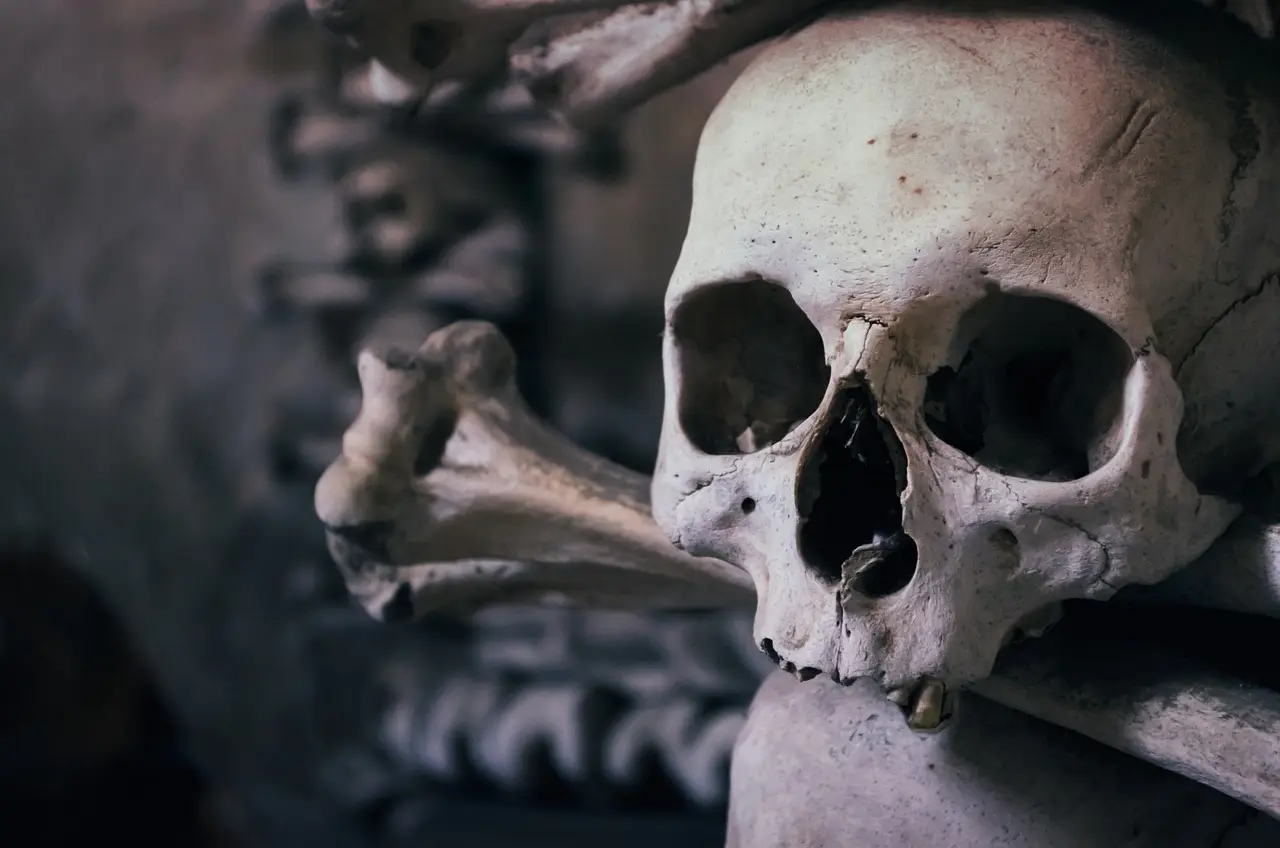 skull, ossuary, czech republic